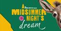 A Midsummer Night's Dream