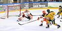 The Nottingham Panthers v Sheffield Steelers