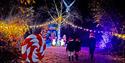 Conkers Winter Wonderland 2025
