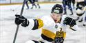 The Nottingham Panthers