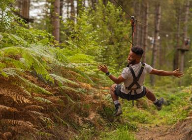 Zip lining through Sherwood pines at Go ape