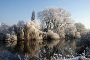 Attenborough Nature Reserve Winter by Alan Metheringham