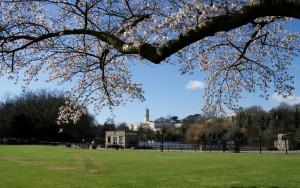Highfields Park by Alan Metheringham