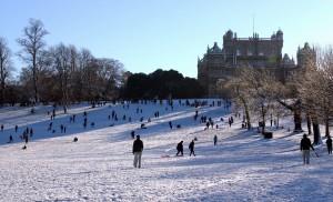 credit Trevor Bartlett