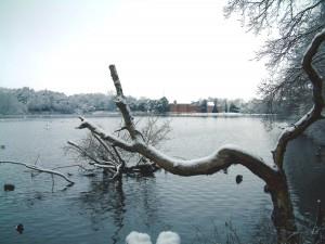 Rufford Abbey lake in winter