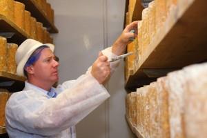 Billy Kevan - Testing the cheese