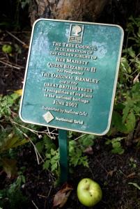 Bramley Apple plaque - High Res