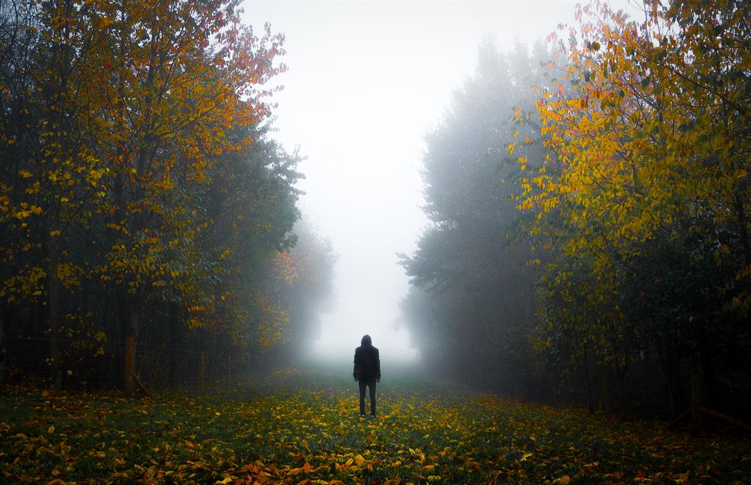 Autumn Fog taken on the outskirts of Arnold - Shot early morning to achieve the low light and contrast
