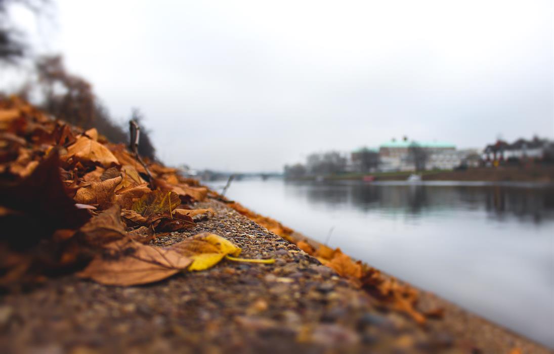 Fallen leaves along side the River Trent - Taken with a 50mm 1.8 to achieve the blurred backdrop