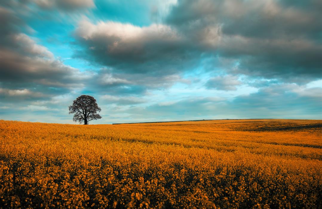 Spring fields taken on the outskirts of Arnold - A double exposure with a 10 second long exposure for the sky motion